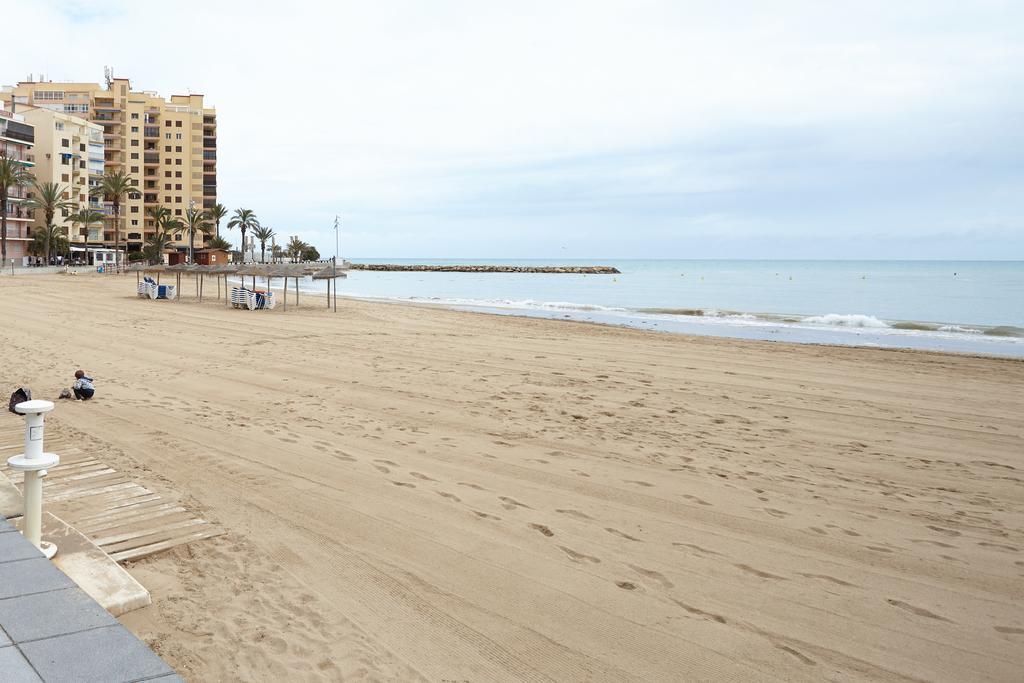 Lenas Pedro Lorca * Torrevieja