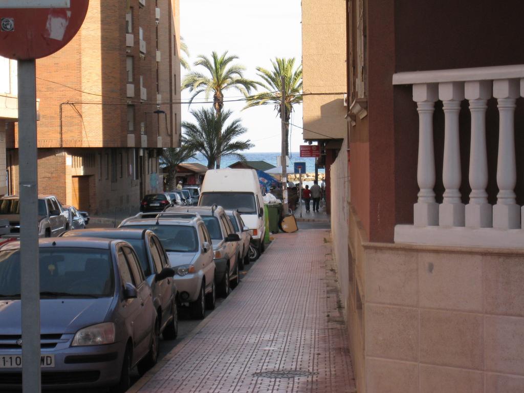 Lenas Pedro Lorca Torrevieja